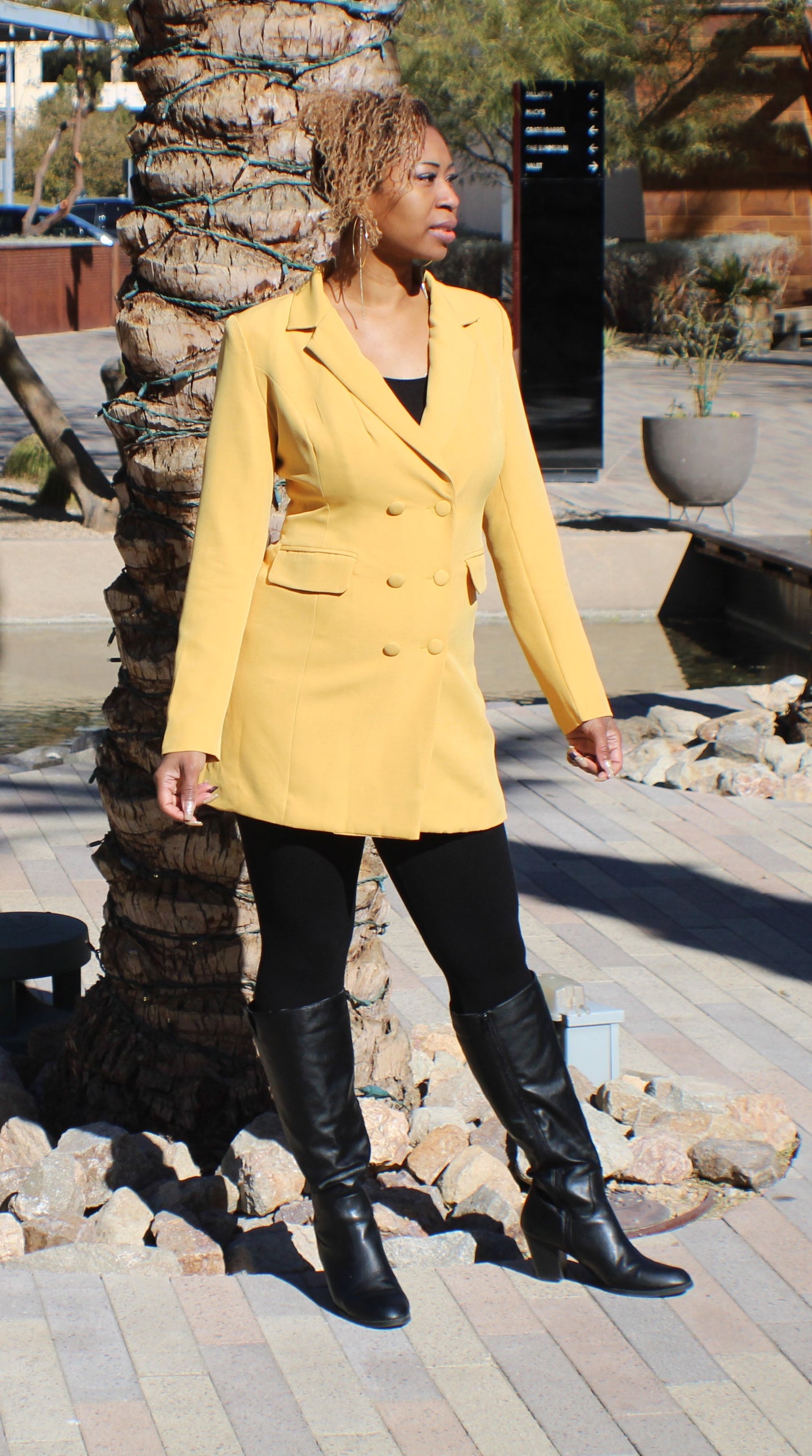 Bold Blazer Dress